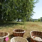 Cascina Bricchetto Langhe Trezzo Tinella