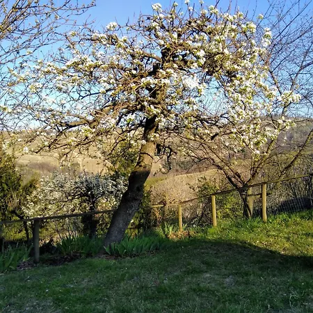 Cascina Bricchetto Langhe Villa Trezzo Tinella