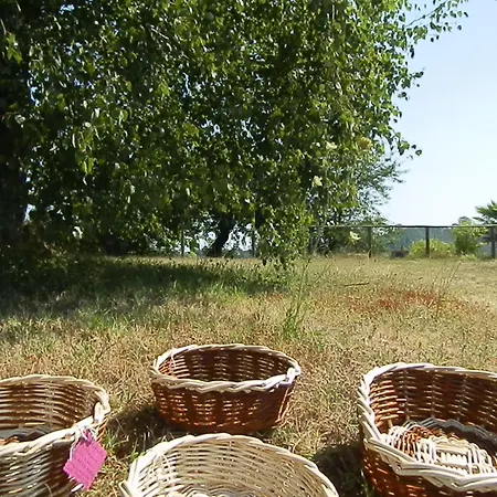 Cascina Bricchetto Langhe Trezzo Tinella